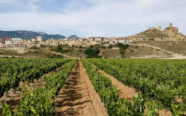 Viñedos con San Vicente de la Sonsierra al fondo