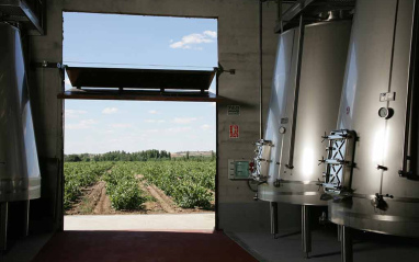 Sala de fermentación con vistas al viñedo 