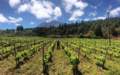 Finca Casa Canales, con el Teide al fondo