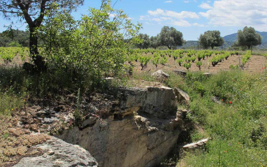 Entorno de San Martín de Valdeiglesias