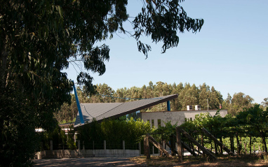 Viñedo con bodega al fondo