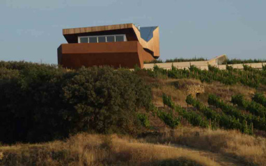 Siete viñas alrededor de la bodega