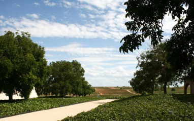 Vista de los exteriores de la bodega