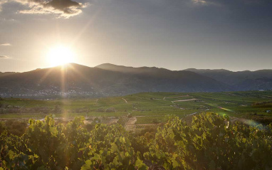 Atardecer en El Bierzo 