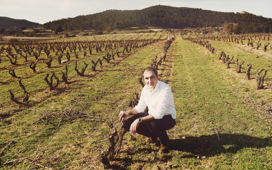 Responsable de la bodega en el viñedo