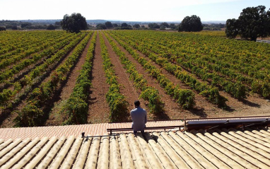 Panorámica de la finca de Rodríguez de Vera