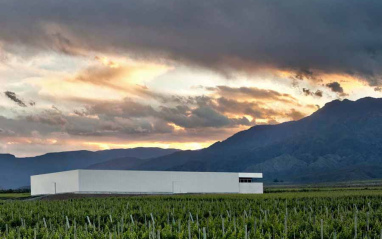 Bodega Rolland