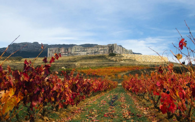 Viñedos de Torres en Rioja