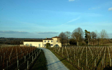 Viñedos y al fondo el château