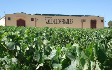 Vista de la bodega con los viñedos en primer término