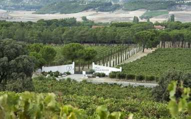 Vista aérea de la bodega