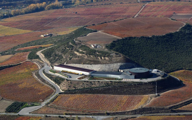 Vista aérea del viñedo en otoño