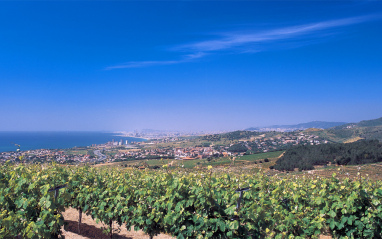 Panorámica de la zona de Alella