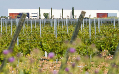 Viñedos y bodega