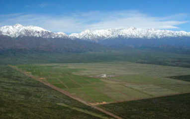 Viñas