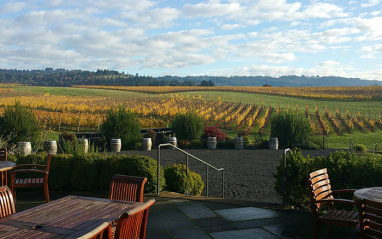 Vista desde la bodega