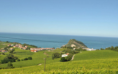 Vistas de Getaria desde el viñedo