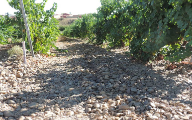 Suelos de canto rodado