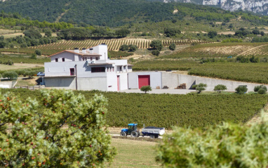 Viñedos y bodega