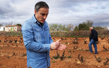 Javier en el viñedo