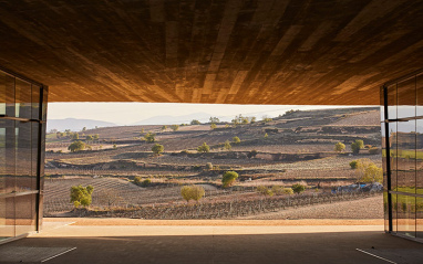 Los viñedos en el corazón de Rioja.