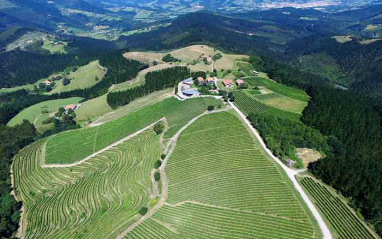 Espectacular vista aérea del viñedo y la bodega