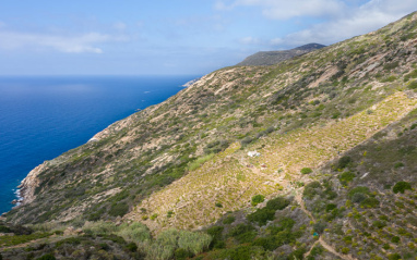 Sus blancos se elaboran en la isla de Giglio