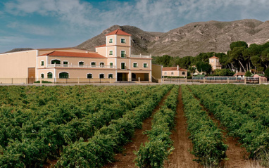 Viñas con la bodega al fondo