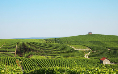 Panorámica de Champagne