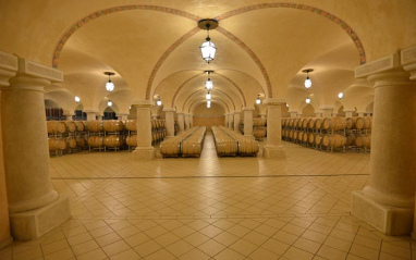 Interior de la bodega