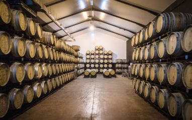 Interior de Bodegas Carchelo