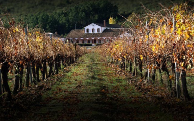 Bodega Dehesa del Carrizal