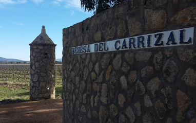 Detalle de una de las paredes de la bodega