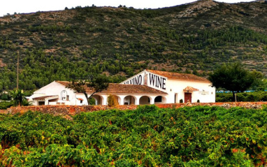 Panorámica de la bodega