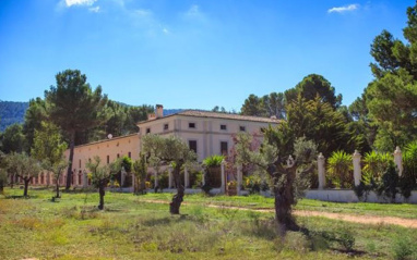 Vista de la bodega