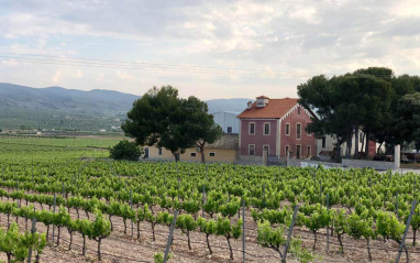 Paisaje de Villena