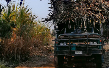 Transporte de la caña de azúcar