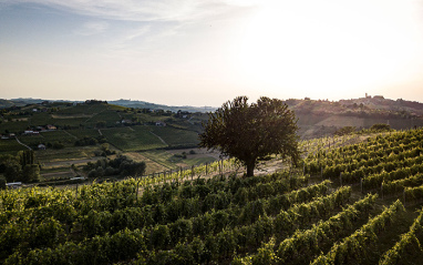 Cascina Valle Asinari