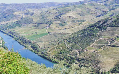 Vista del río Douro