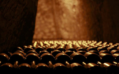 Botellas en la cava de la bodega