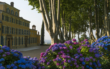 Jardines que rodean el 'château'