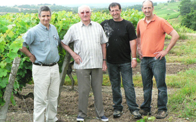 Los hombres de la familia en el viñedo