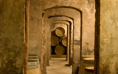 Interior de la bodega