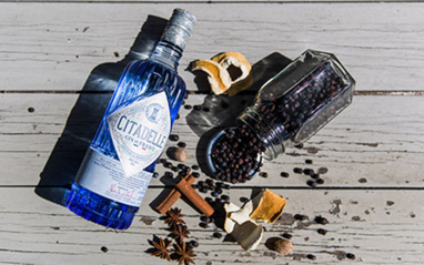 Botella de Citadelle Gin junto a algunos de sus botánicos