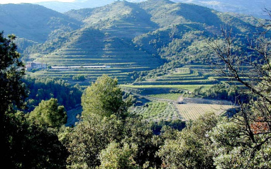 Priorat