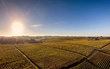 Château Clos Haut-Peyraguey