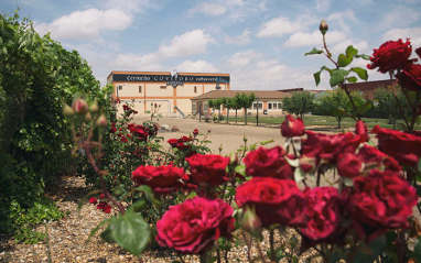 Bodega Covitoro