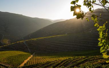 La esencia de Douro