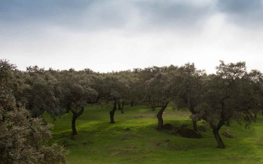 El Valle de Ambroz