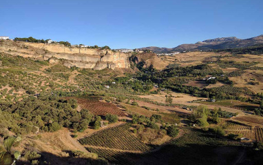 Vista de la zona baja de la fina